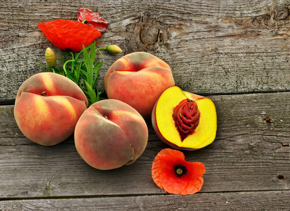 Milkhouse Candle Company - 13 oz Mason Jar Candle: Peaches & Poppies
